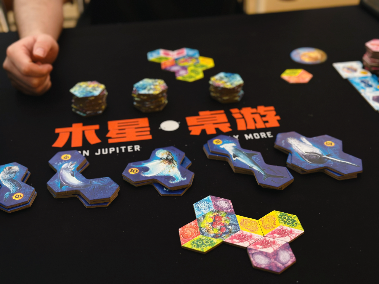 2024-04-28_22.52.42_木星桌游_木遇星河财富港店)_谁能拒绝一款海洋拼图桌游呢_7