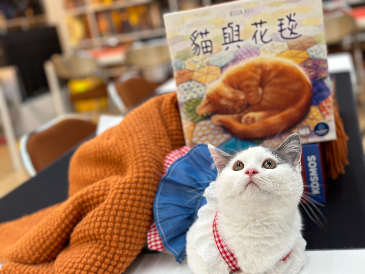 2024-08-04_20.45.31_木星桌游_木遇星河财富港店）_和毛孩子一起打游戏也太快乐了吧_4